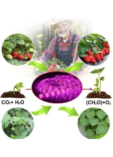 Фітоленти для зростання саджанців від USB живлення фітолампа спектр LED 2 м Grant (363833300)