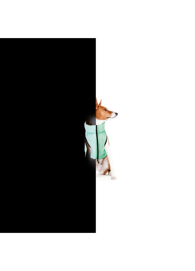 Курточка для собак AiryVest Lumi двостороння, світиться в темряві, розмір M 50, салатово-голуба No Brand (363197157)