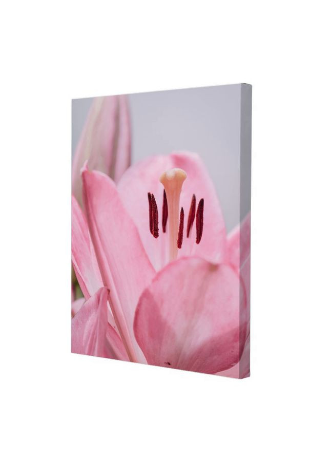 Набір постерів Серце лілеї (PS-198) 2 шт в наборі Riviera Blanca (303135397)