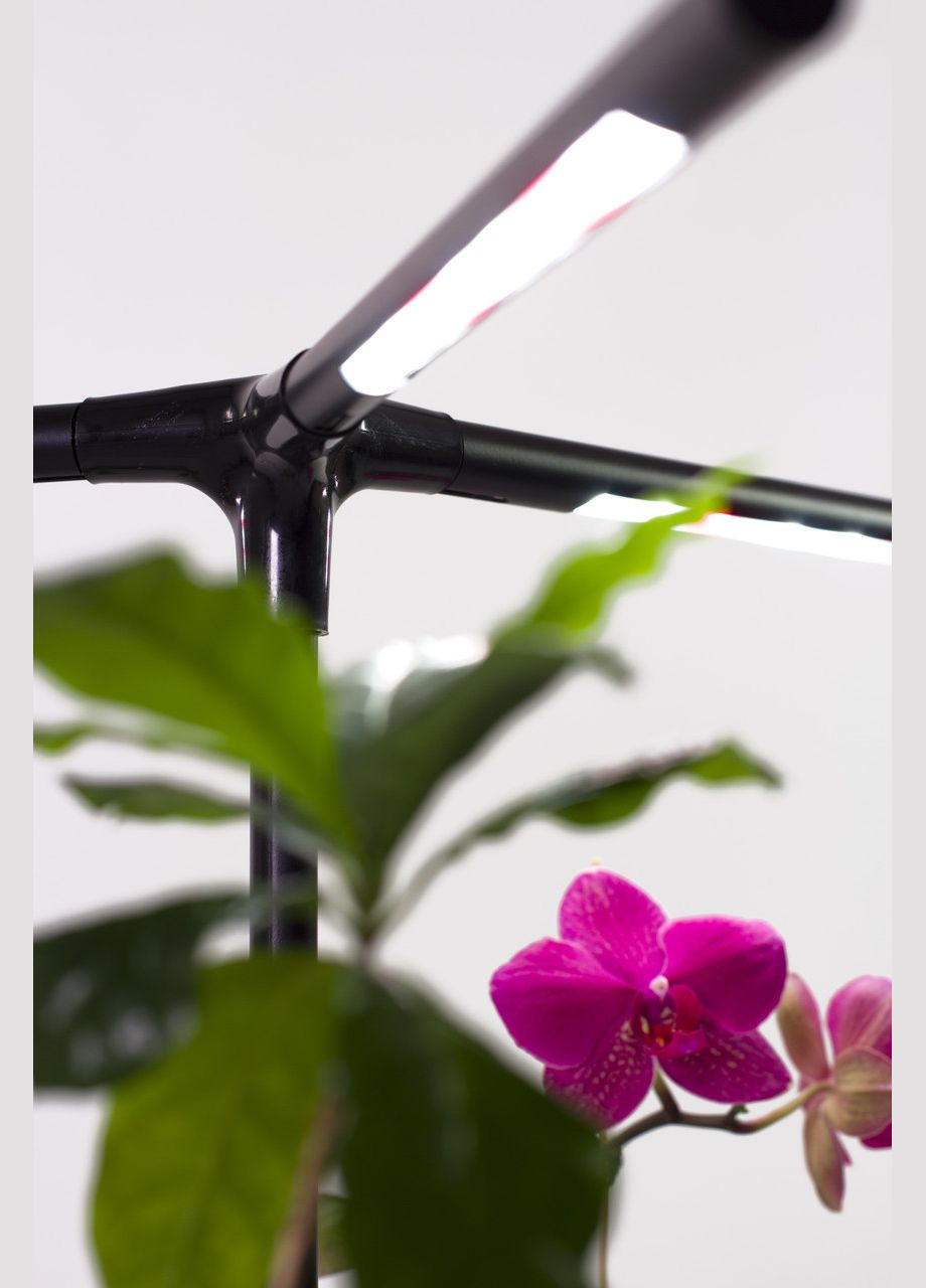 Фитолампа для растений, цветов, орхидей, рассады - фитосветильник полного спектра "Romario" Broody (300778492)