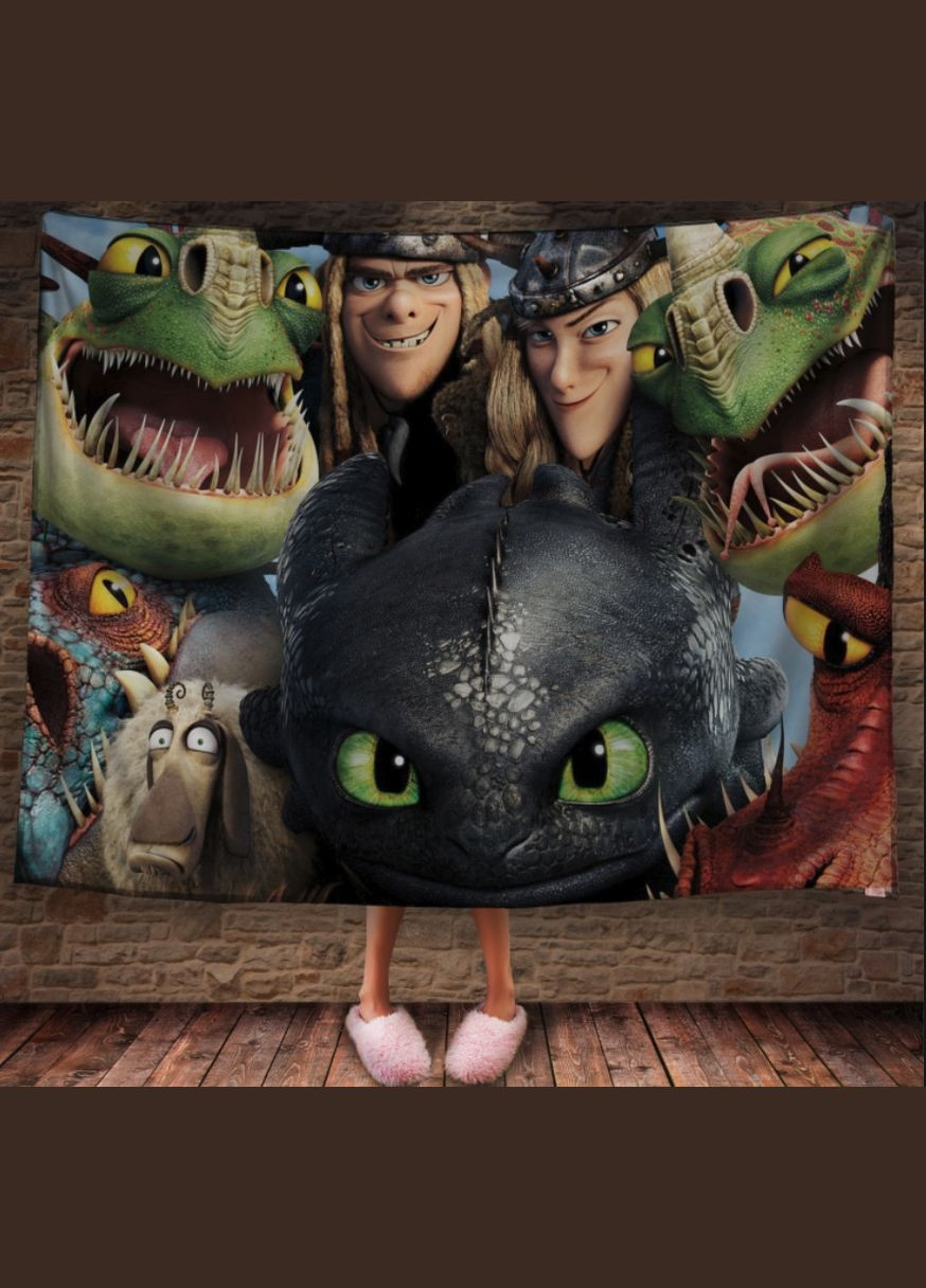 Плед з 3D принтом How to Train Your Dragon Впертюх і Твердюх Перша Креативна мануфактура PERFECTUS Плед (301870898)