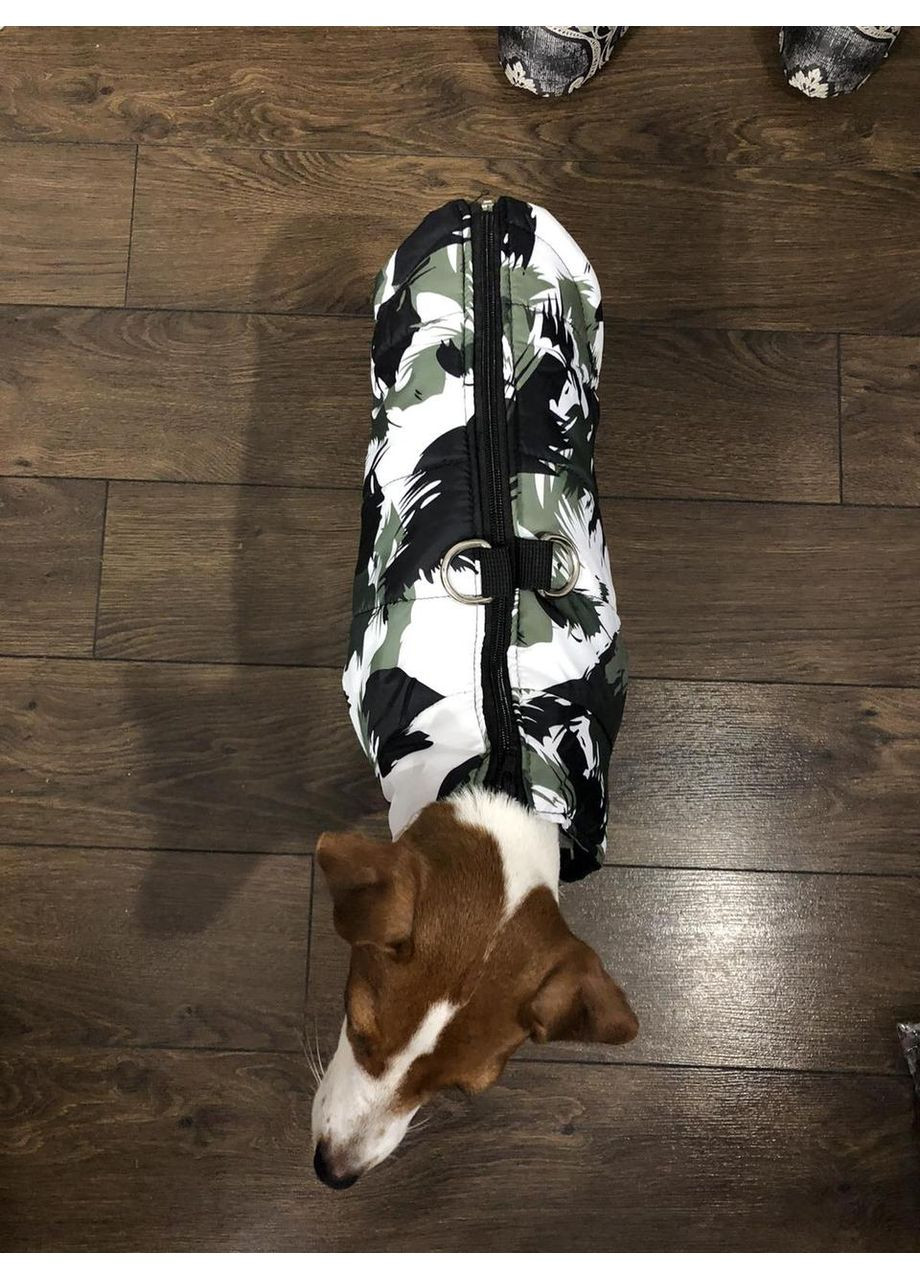 Жилетка для собак с молнией на спине Комфорт и защита в дождь No Brand (362571828)