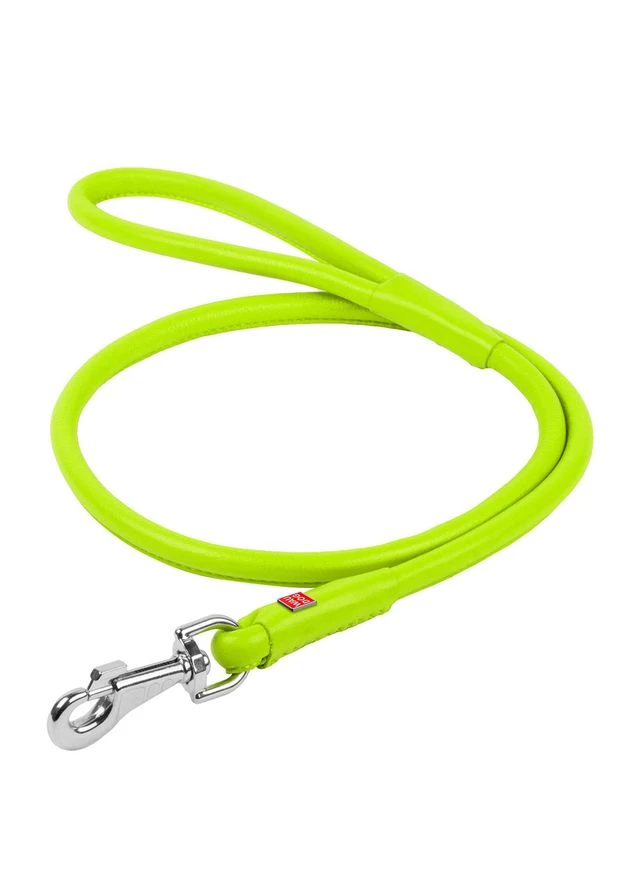 Поводок для собак кожаный WAUDOG Glamour круглый, Дл 10 мм, Дл 122 см салатовый No Brand (363198277)