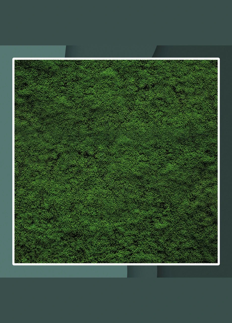 Вініловий фотофон 75х150см, Frontlit 450 г/м2, стіна + підлога №59280 PhotoVinyl (354372642)