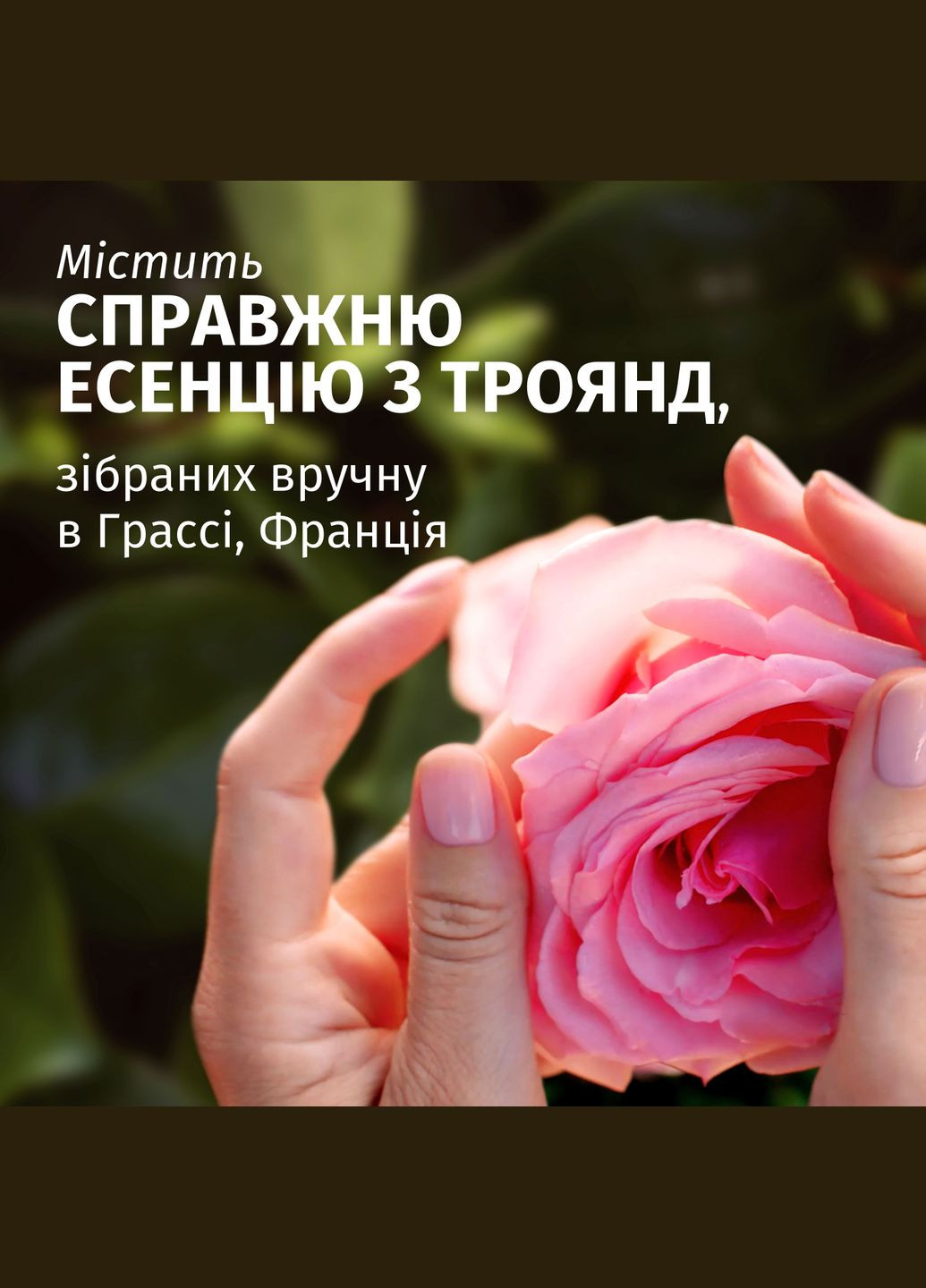 Легкий бальзам-ополаскиватель "Роза" смягчающий, 145 мл. HERBAL ESSENCES (333802102)