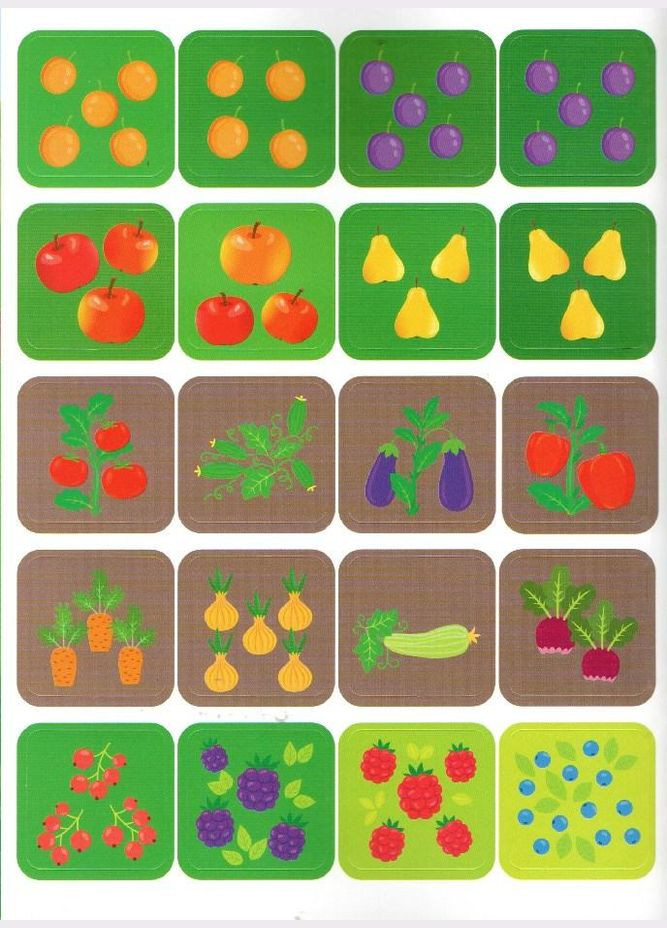 Книга Наліпкитренувалки. Фрукти. Овочі. Ягоди (9786175443866) УЛА (316124701)