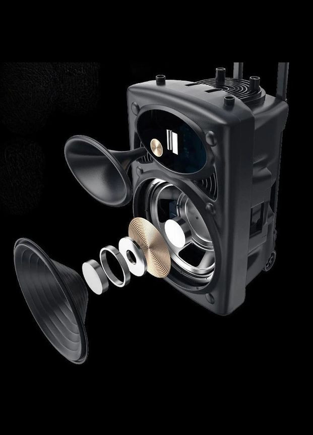 Акустична система Su-Kam BT 150D + 2 мікрофони 150 Вт 7500 mAh black (1924452660) No Brand (325816749)