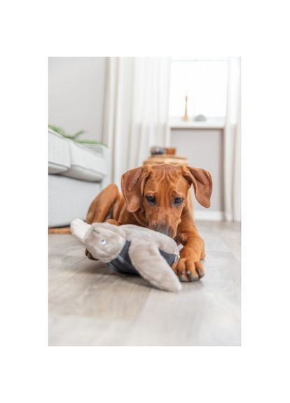 Игрушка для собак BE NORDIC Черепаха Хауке полиэстер/хлопок серый 34 см Trixie (336766762)