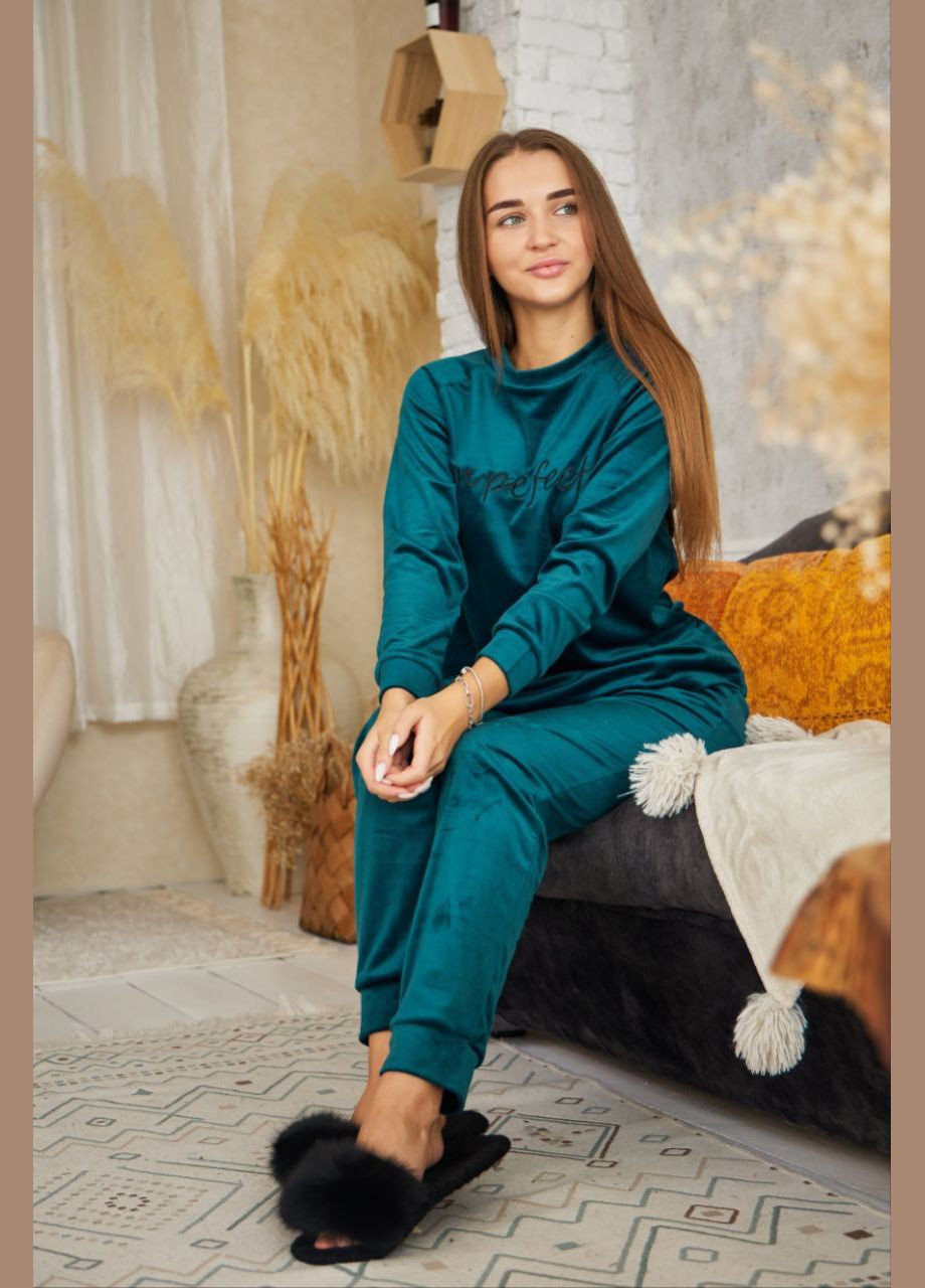 Женский костюм велюровый повседневный спортивный No Brand спо (315826244)