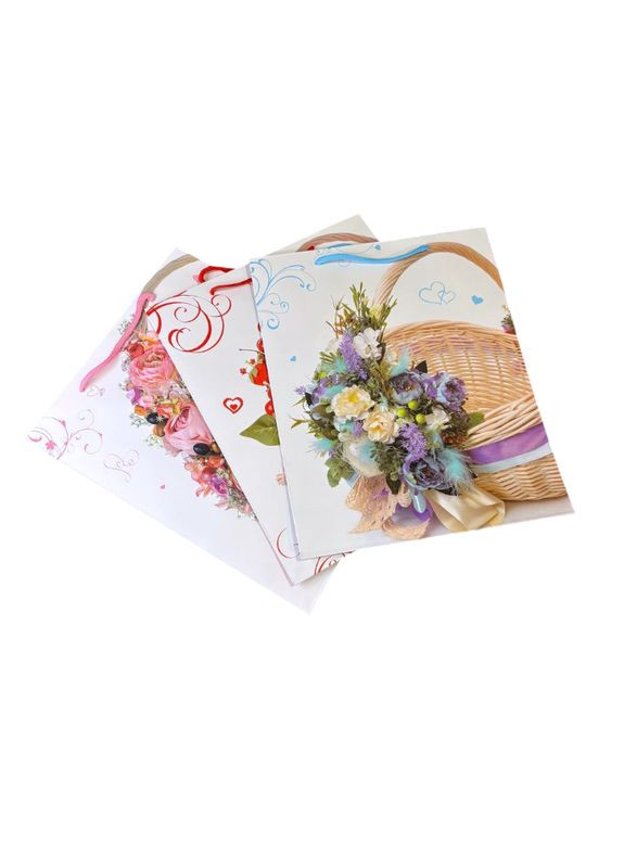 Пакет подарочный бумажный 1980 No Brand (373684319)