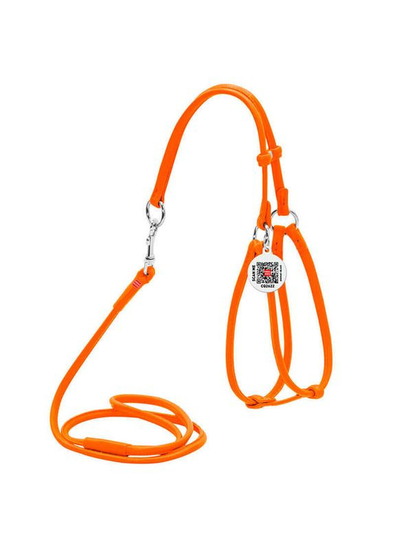 WAUDOG Glamour - Шлея шкіряна кругла з повідцем і QR паспортом для собак - XS/0,6х42-60х46-64 см Collar (329995258)