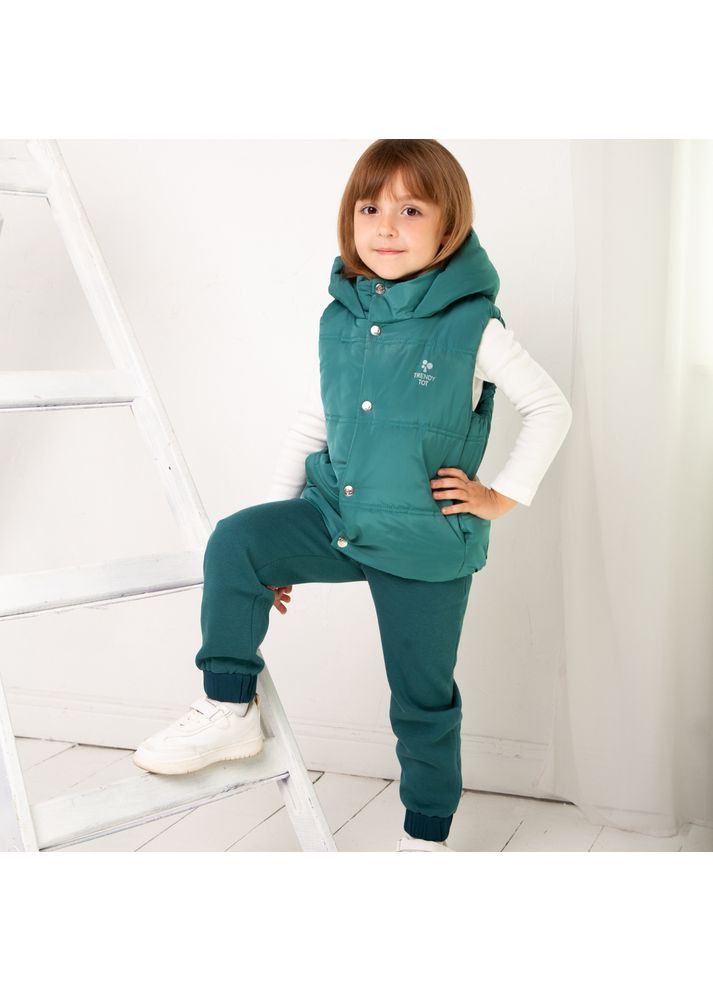 Жилет стьобаний утеплений дитячий унісекс Trendy Tot 03-01509_000003175 (372735852)