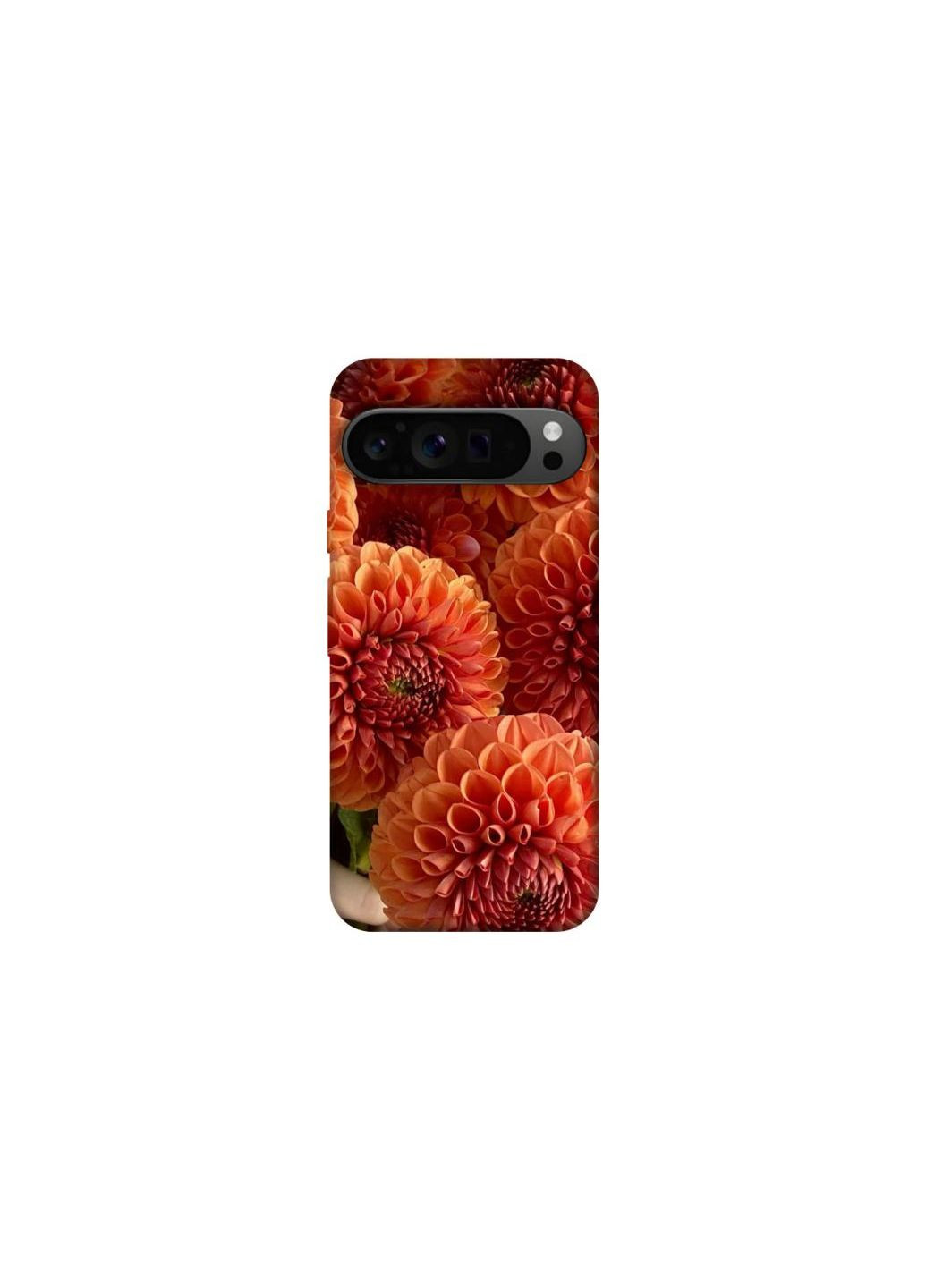 Чехол на Google Pixel 9 Pro Flower1 Frontalka (356089452)