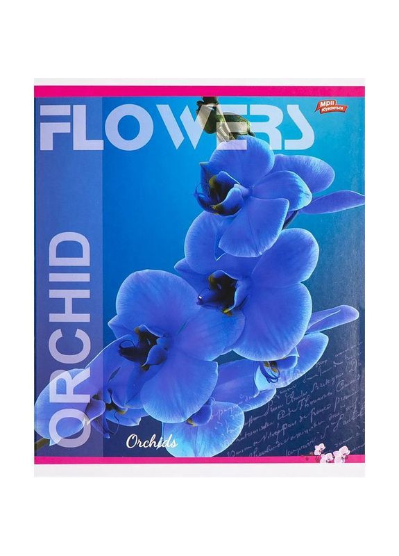 Зошит 36 арк. клітинка "МРІЇ" / Орхідеї Мрії Збуваються (342415643)