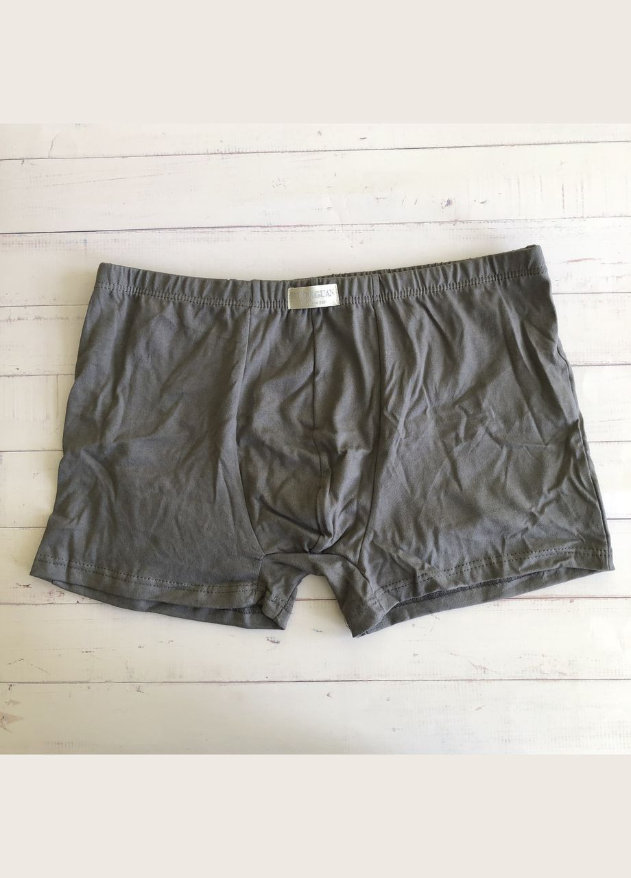 Набор комплект мужские трусы боксеры шорты Honey Fashion Accessories (2шт) S (2-171) No Brand (313286195)