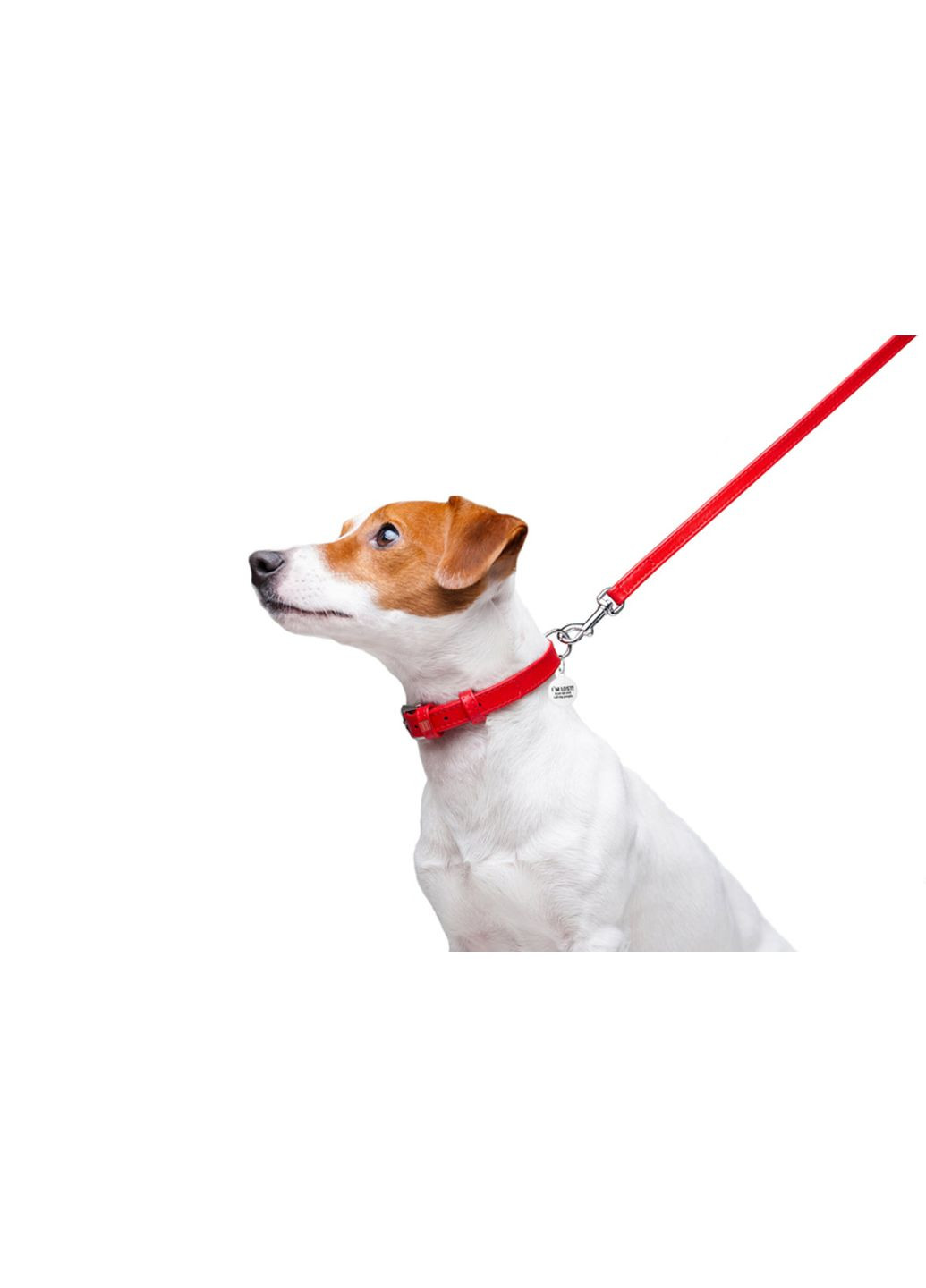 Повідець для собак шкіряний Glamour Ш 12 мм Д 122 см червоний WAUDOG (279566758)