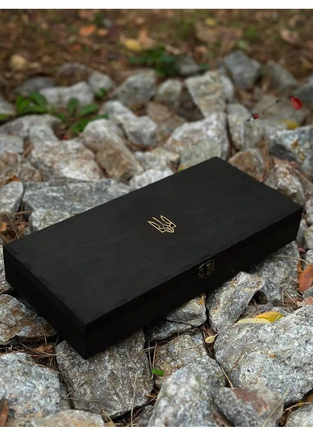 Набір в коробці з тризубом No Brand (294613228)