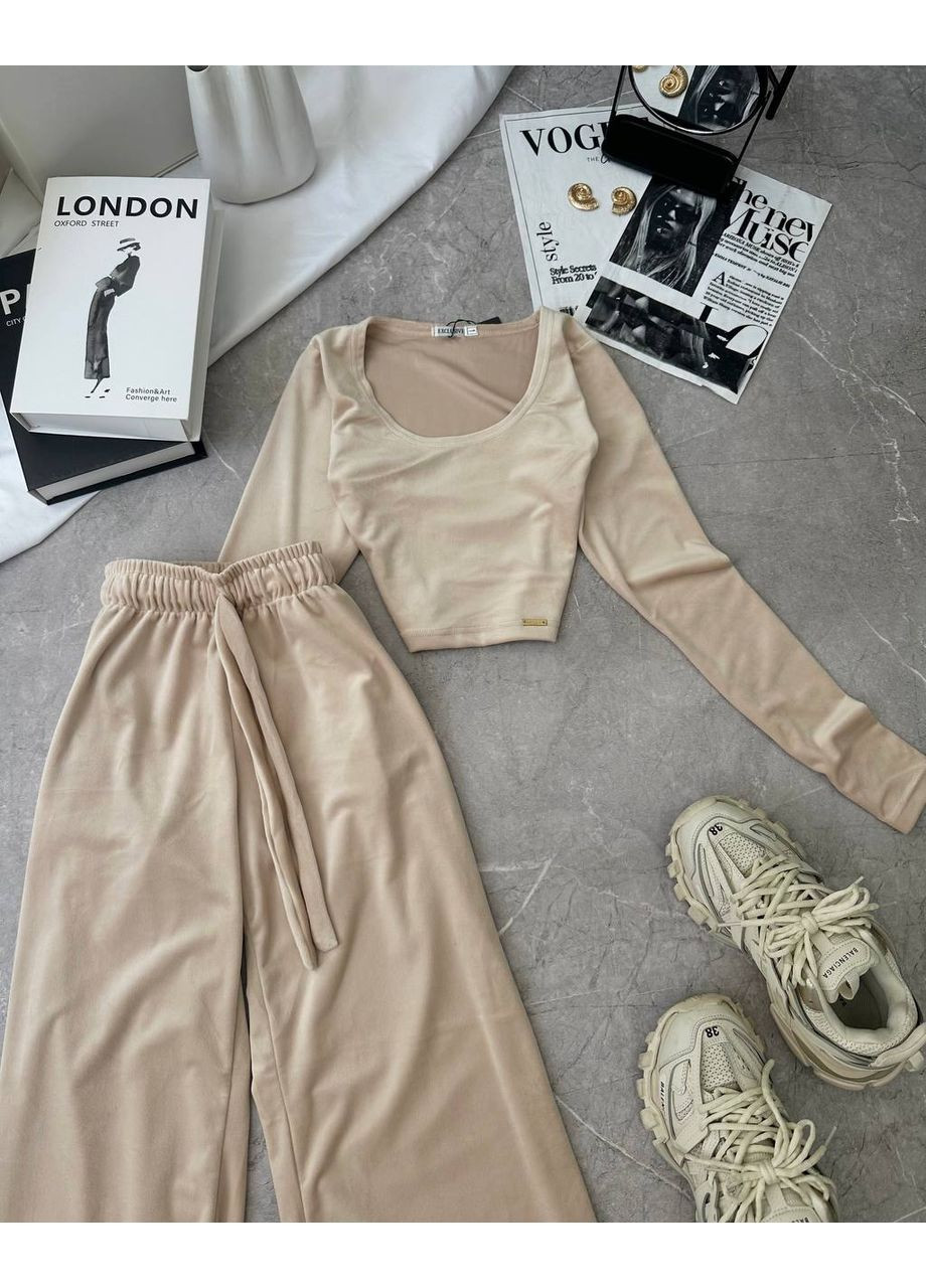 Жіночий велюровий костюм Україна (356683175)