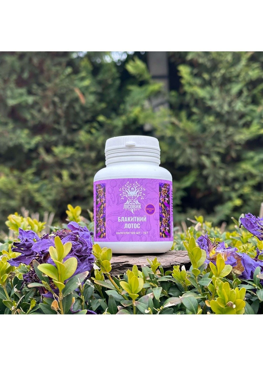 Голубой лотос экстракт 10:1 120 капсул Лесовик Лісовик (364210482)