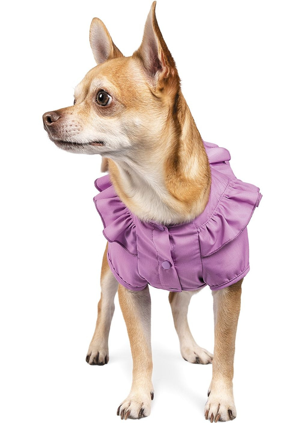 Блуза Луна (4823082416745) Pet Fashion (279563087)