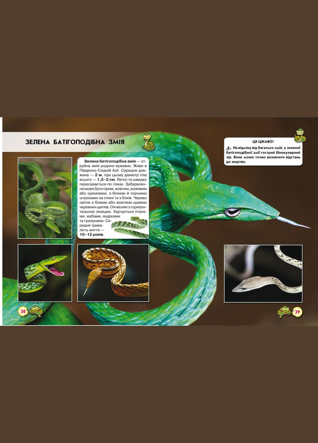 Світ навколо нас. Змії Кристал Бук F00020898 (336329480)