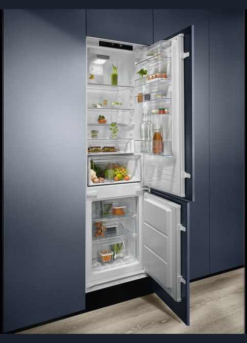 Холодильник Electrolux (337323446)