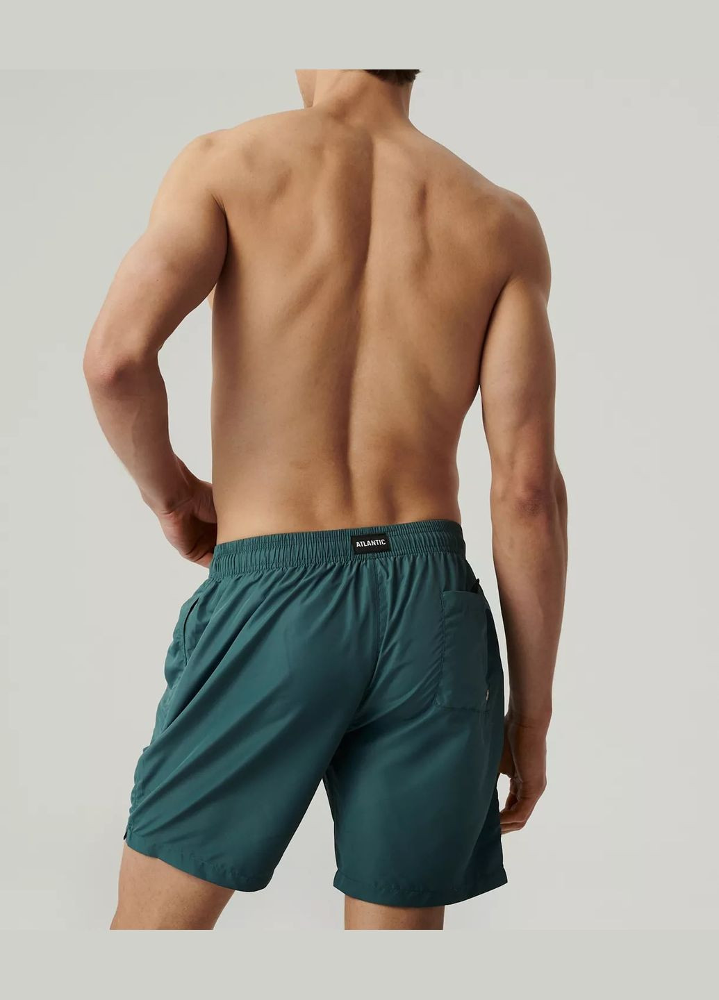 Мужские пляжные шорты Atlantic (329034377)