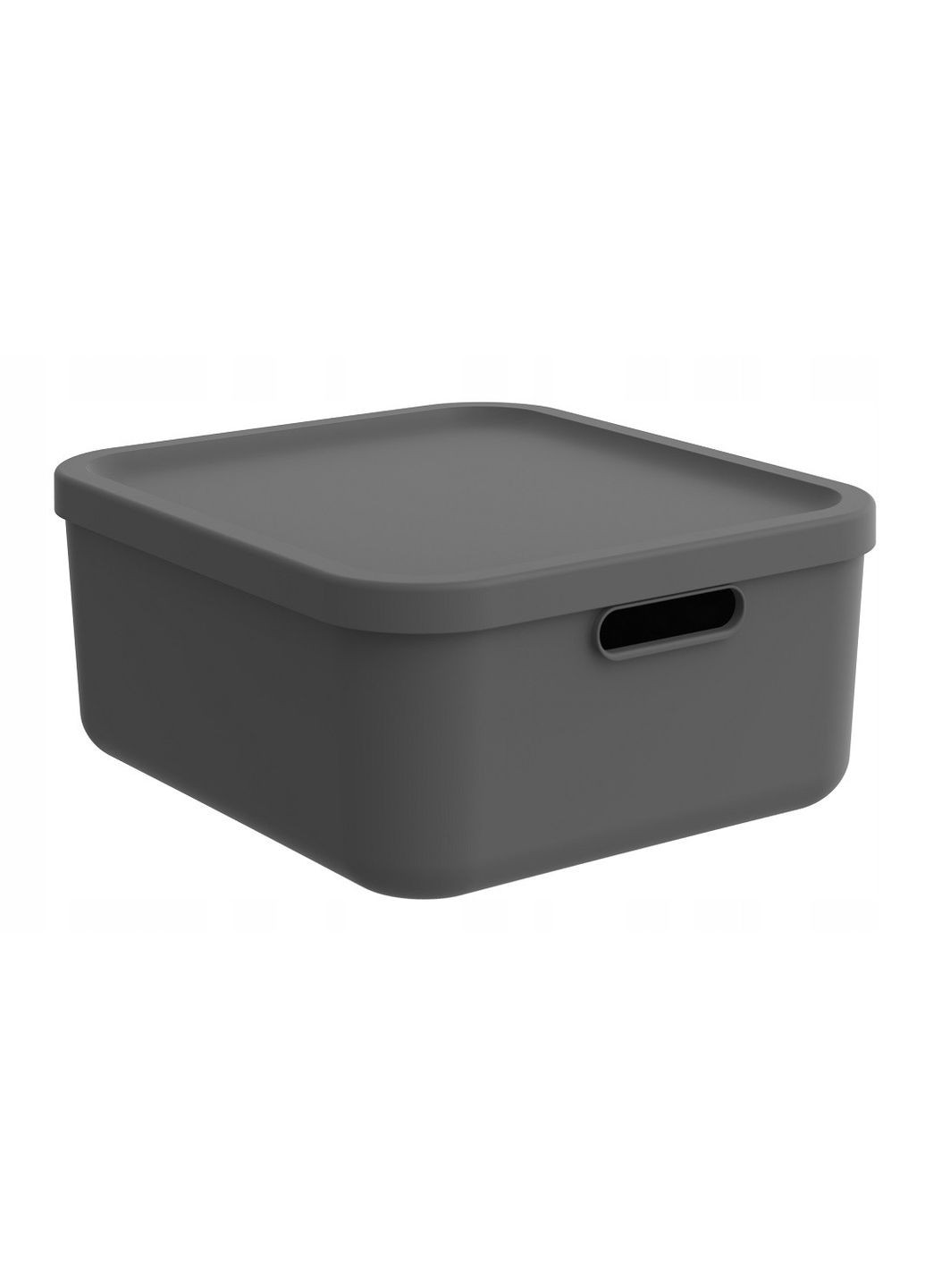 Контейнер для зберігання речей з кришкою Albula 20 л (10557) Rotho (334007169)