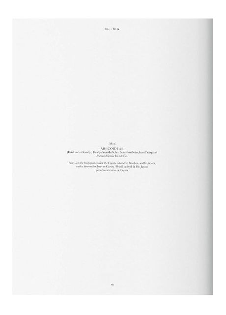 Книга Martius. The Book of Palms (9783836566148) Taschen (364654493)