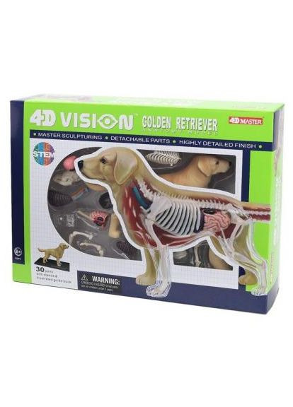 Пазл 4D Master Об'ємна анатомічна модель Собака золотистий ретривер (FM-622007) SKL Объемная анатомическая модель Собака золотистый ре (366067136)
