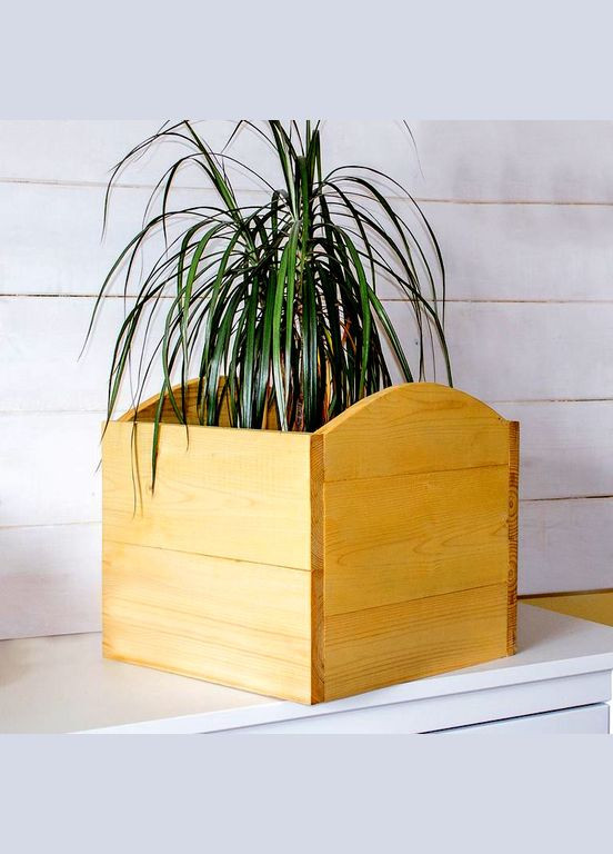 Кашпо з дерева Купена ваніль (КАШ-005602) No Brand (328450484)