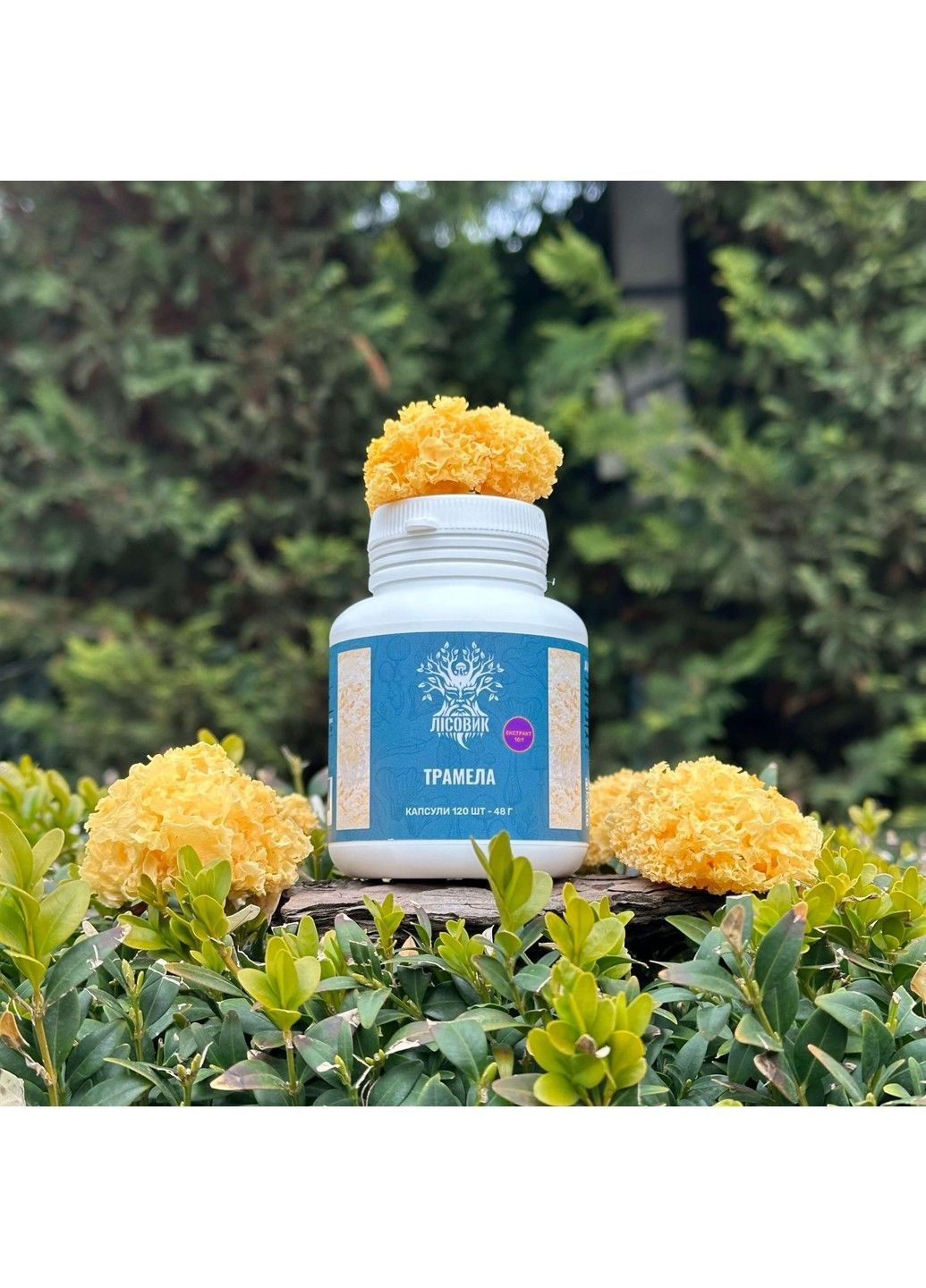Гриб Тремела екстракт 101 капсули 60 шт Лісовик (364210615)