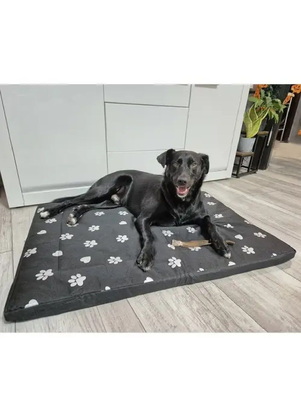 Лежак підстилка килимок прямокутний водонепроникний для собак зі знімним чохлом 100х70х4 см (478795-Prob) Чорний з білим Unbranded (312149491)