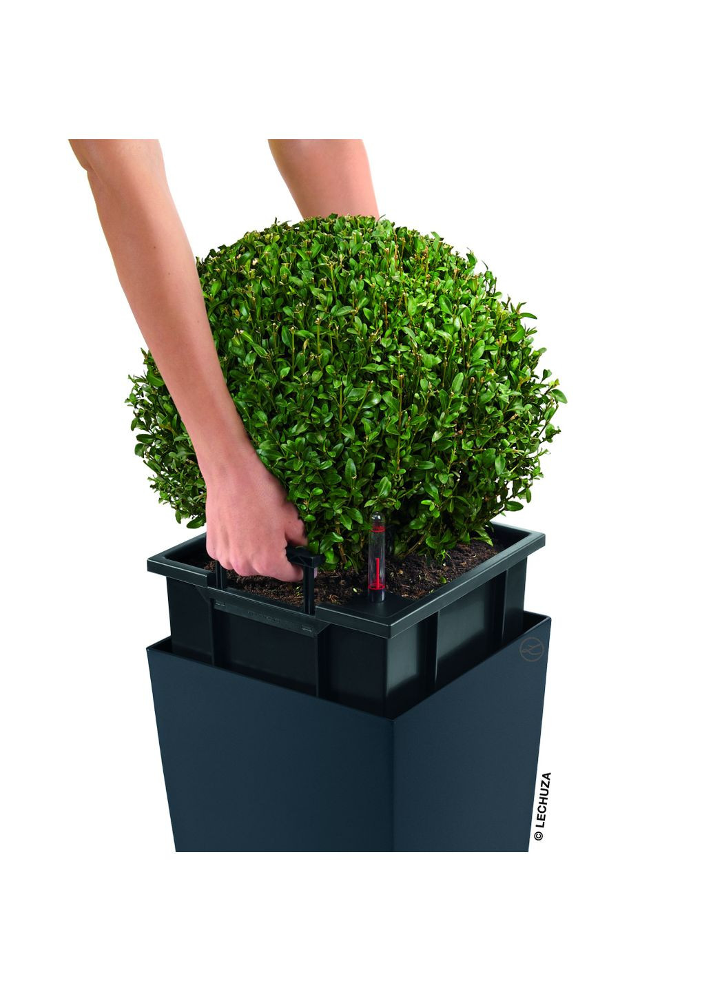 Вазон Сubico 30, чорний блискучий (A-013692) Lechuza (317268864)