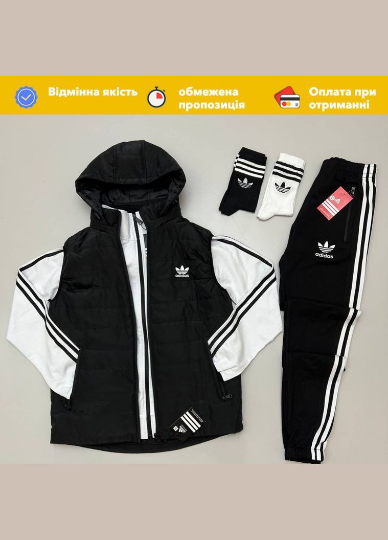 Жилет-кофта-штаны-носки 2 пары (весна/лето/осень) No Brand (316244425)