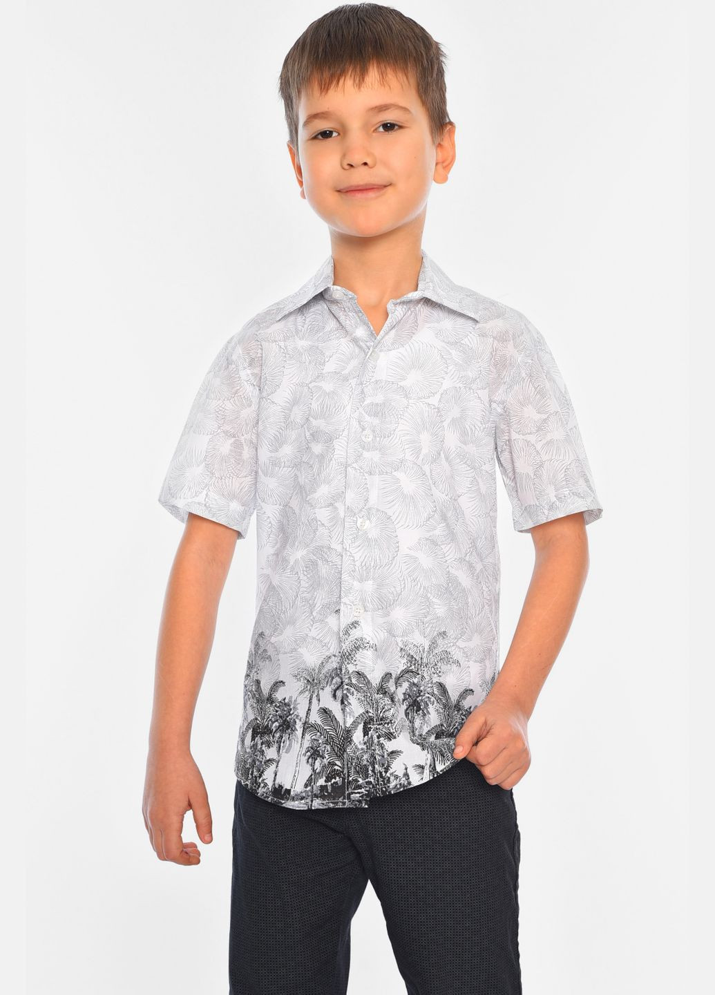 Сорочка дитяча хлопчик біла Let's Shop (316295748)