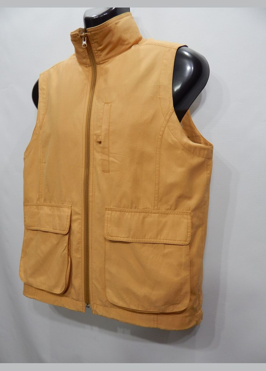 Жилет мужской демисезонный тонкий Bayronald р.50 169GML (только в указанном размере, только 1 шт) No Brand (308369885)