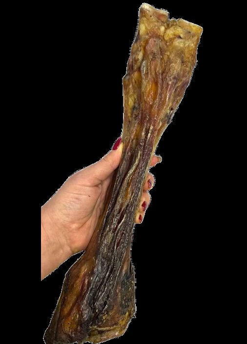 Натуральні ласощі для собак сушена гомілка бичка з житловою XXL "Королівська" (Бетховен) 1 шт. Bethowen (326068388)