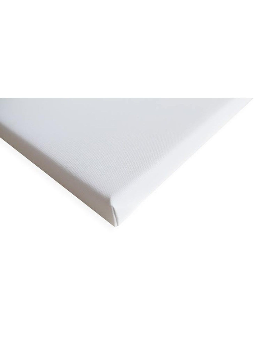 Картина квіти на полотні No Brand (324106672)