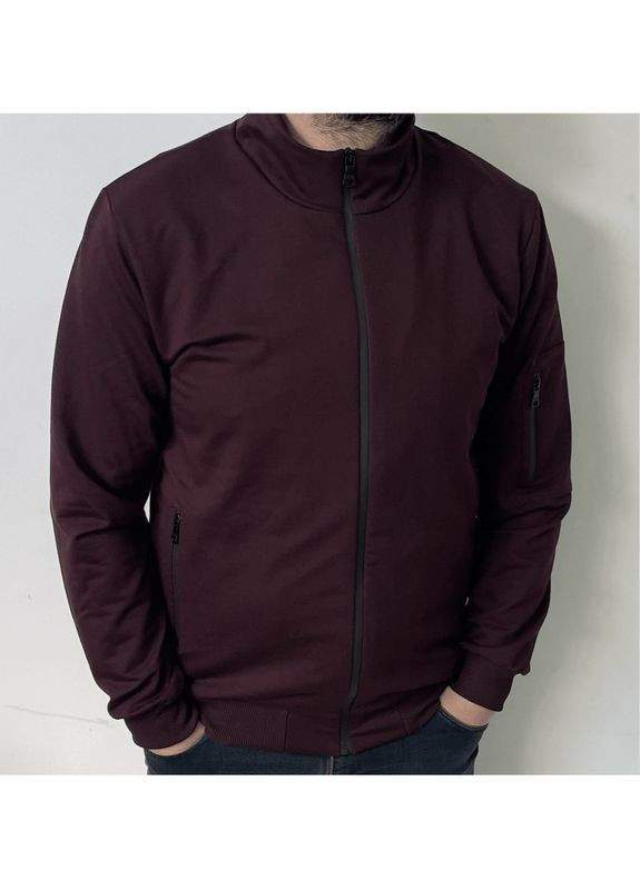 Кофта с молнией без капюшона больших размеров Hector (306614573)