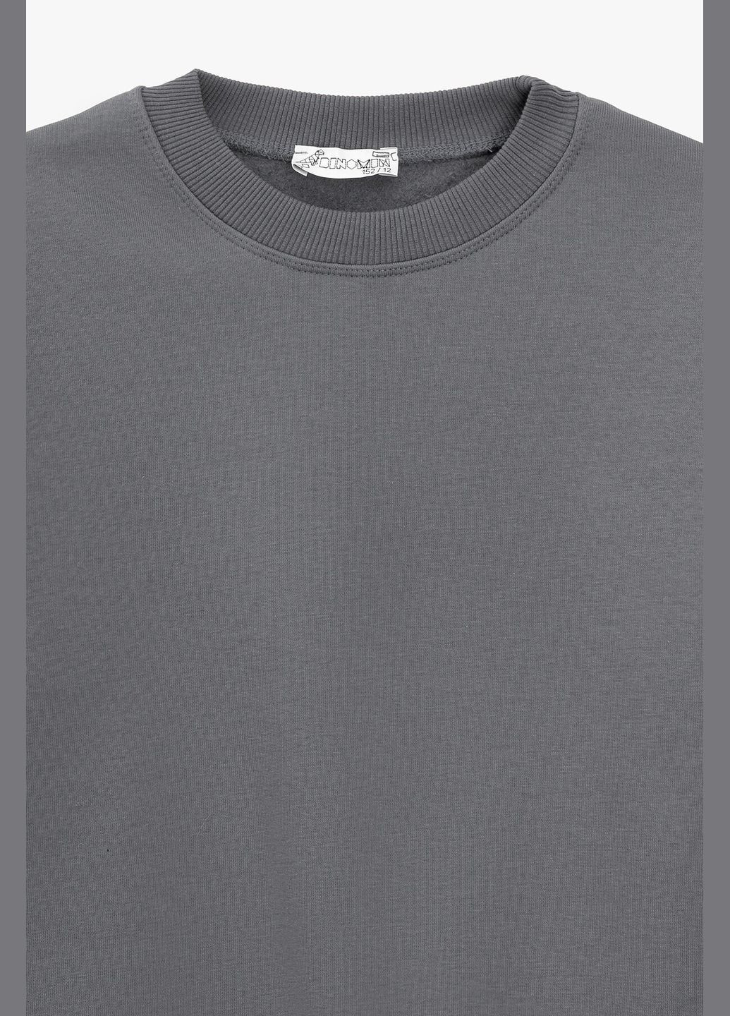 First Kids світшот однотонний дитячий 3566 140 см shop (2000990828873) однотонний синій повсякденний