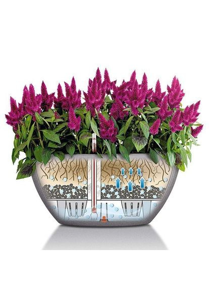 Кашпо Cubeto Stone 40 сірий камінь 13840 Lechuza (316617972)