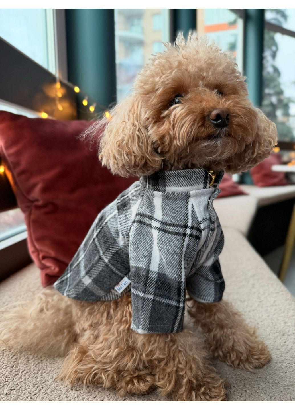 Сорочка для собак Mateo (371737995)