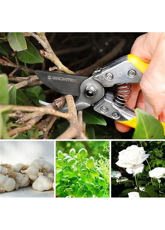 Секатор Phoenix 200 мм (295200018) GRUNTEK (368679630)