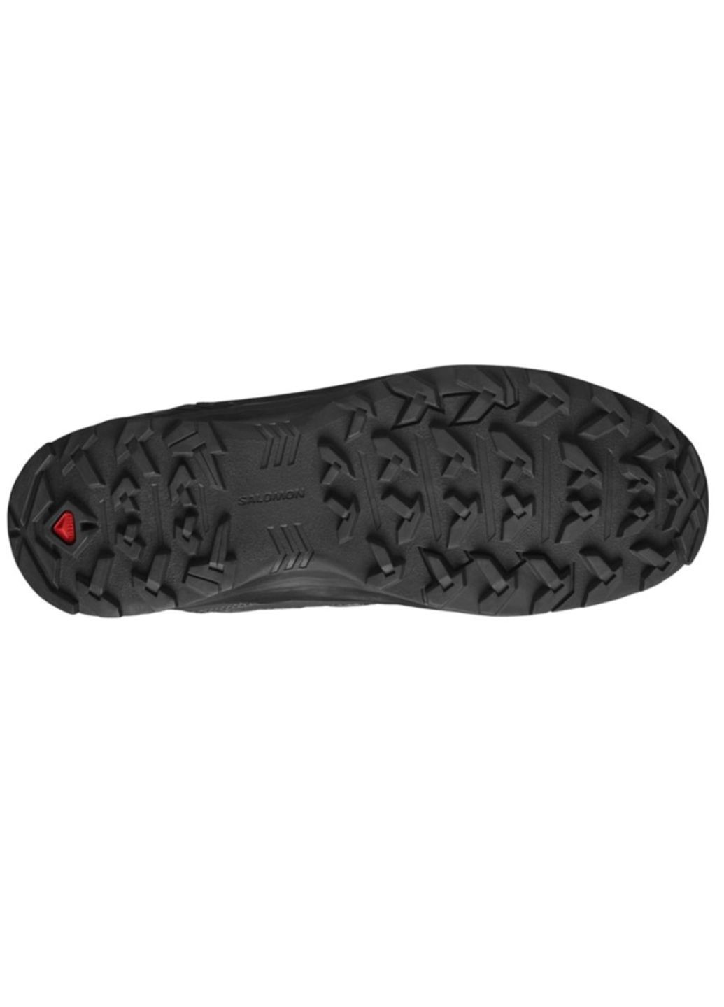 Чоловічі черевики демі гор текс саломон X Braze Mid Gtx Black 471748 Salomon (316535662)