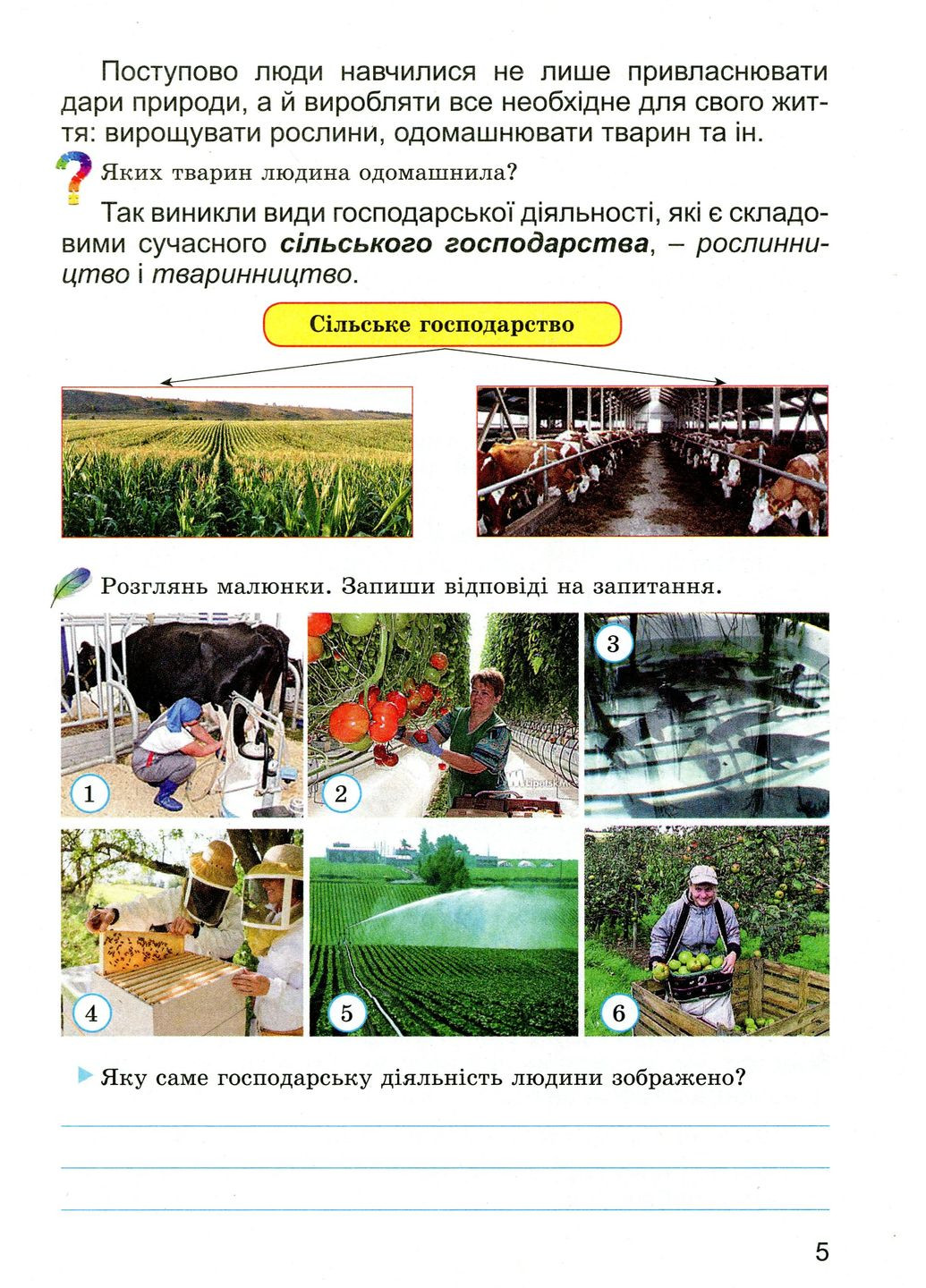 Фінансова арифметика 3 клас. Зошит-посібник з фінансової грамотності Генеза (370061269)