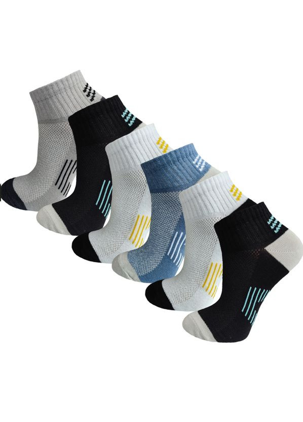 Шкарпетки дитячі в сітку бавовна 6 пар DL 705/6 Lomani (338434850)