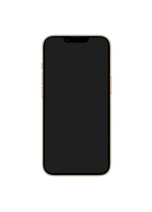 Муляж Dummy Model Gold (ARM60537) No Brand iphone 13 pro max (265532820)