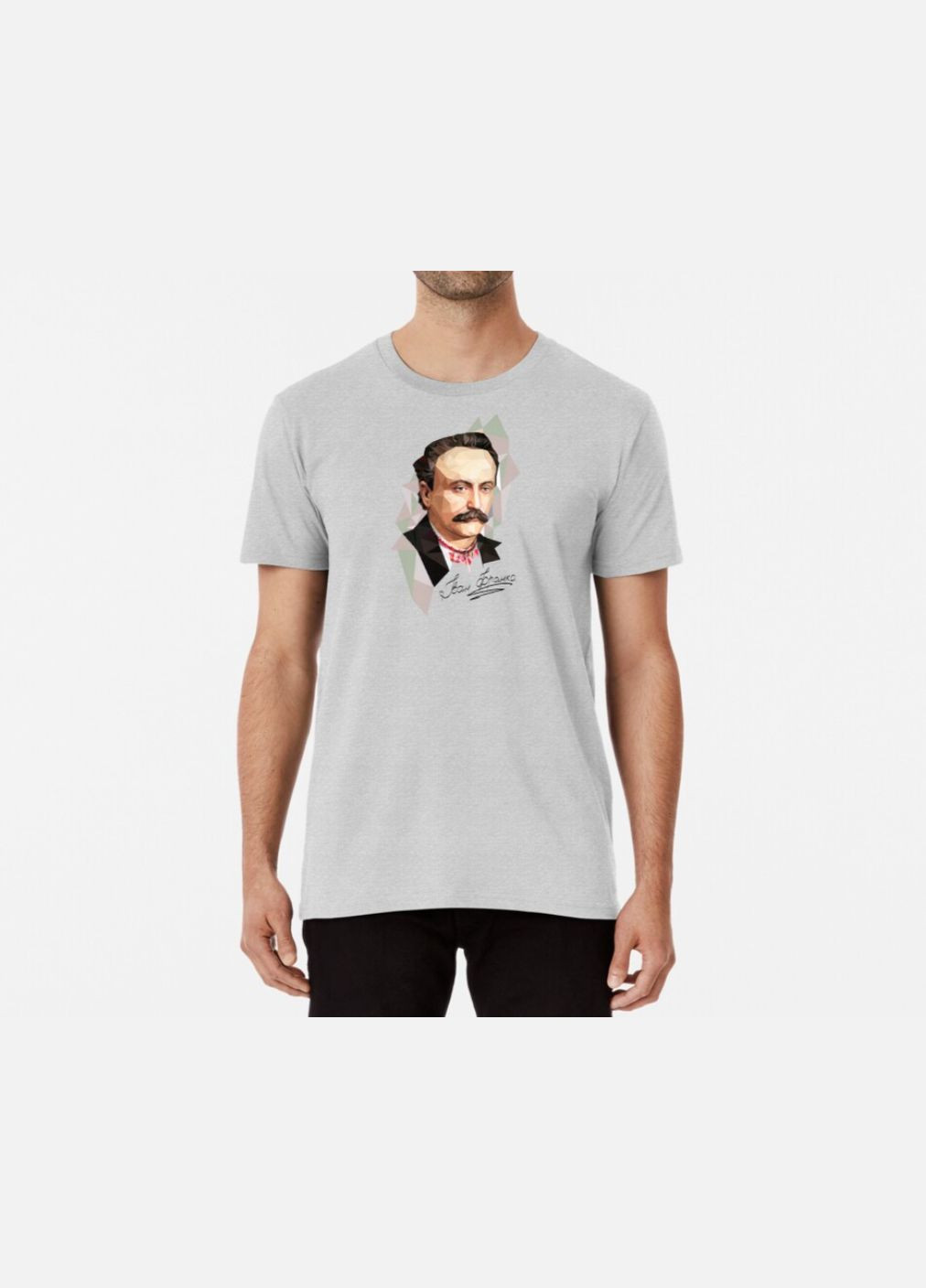 Сіра чоловіча патріотична футболка з принтом іван франко Stedman