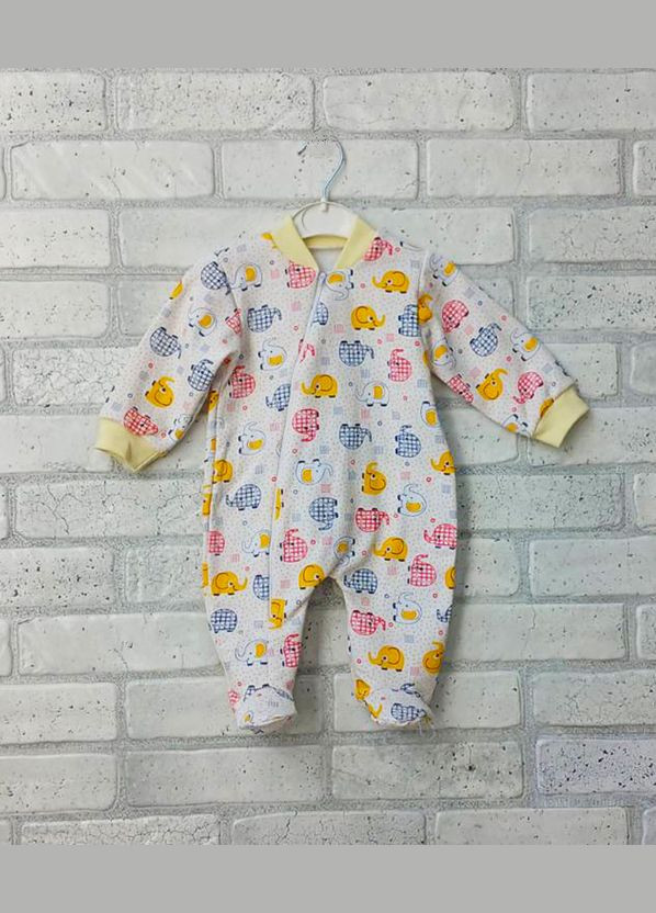 Комбинезон для новорожденных цветной с длинным рукавом на молнии теплый. байка начес No Brand (322784677)